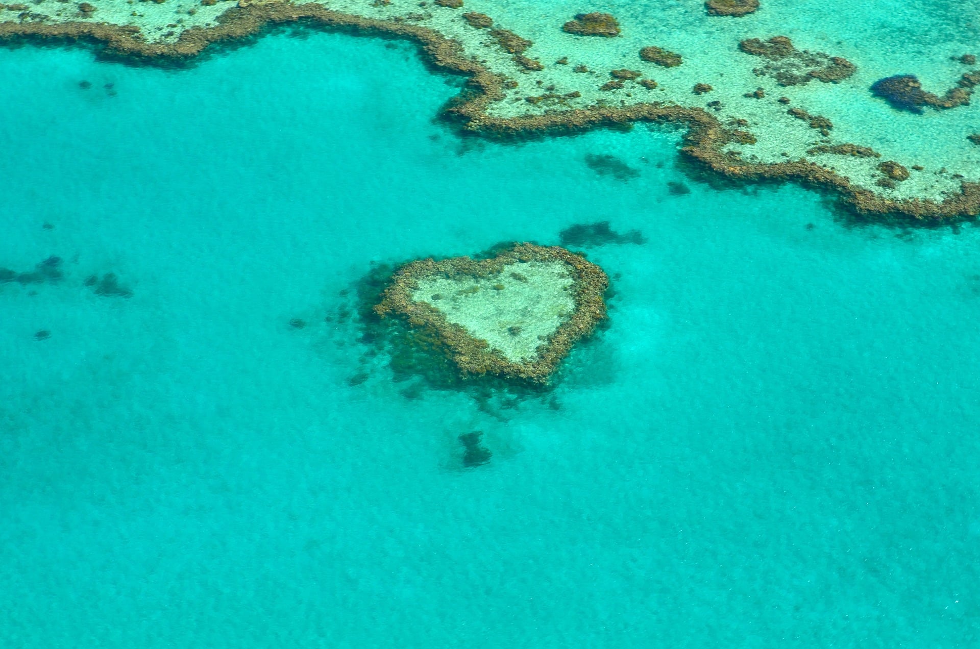 Heart Coral Reef Australia Heart Coral Reef Australia