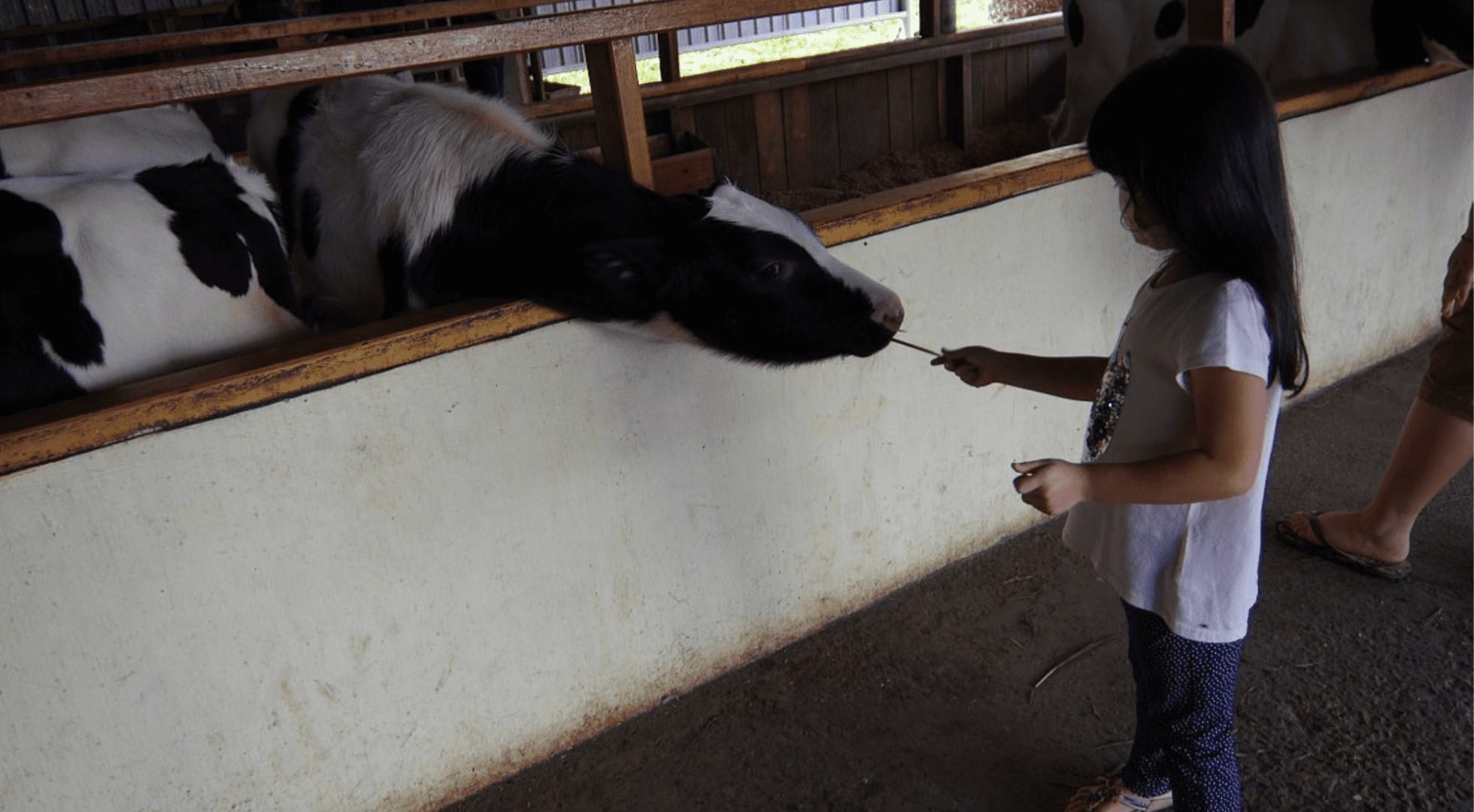 family holiday 2023-kundasang-sabah