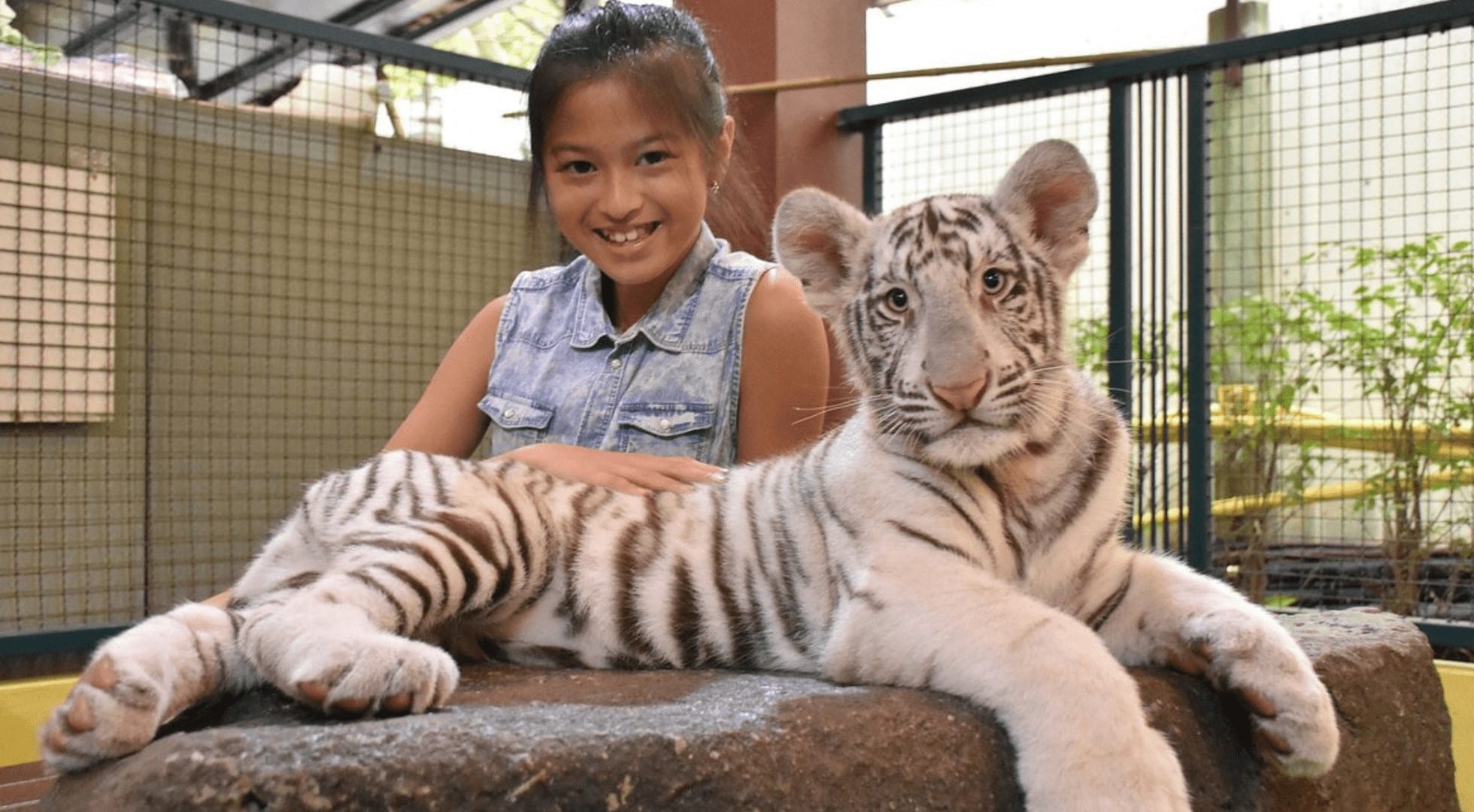 family travel-tiger kingdom-chiang mai
