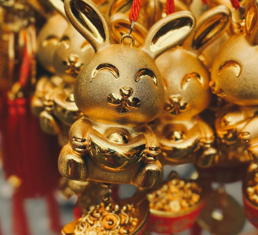 rabbit-chinese-new year-credit SJ 📸 via unsplash