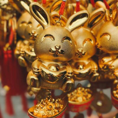 rabbit-chinese-new year-credit SJ 📸 via unsplash
