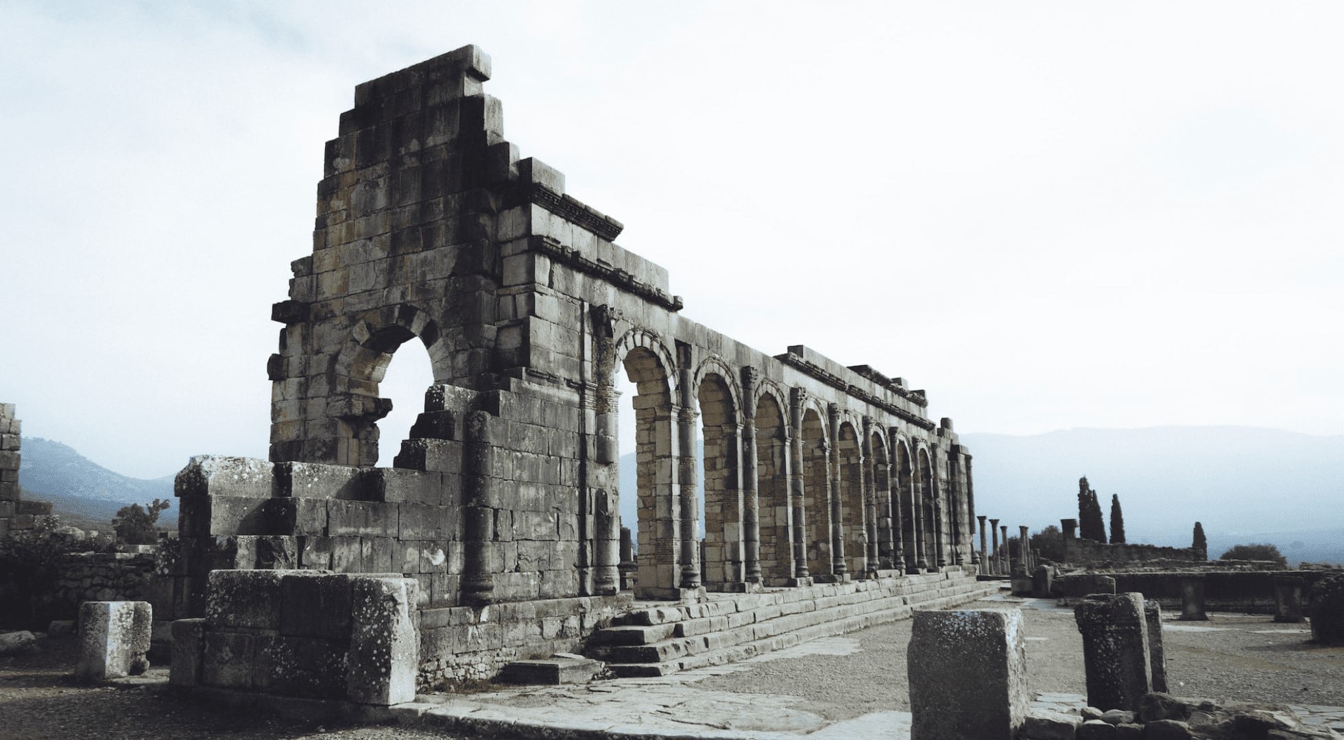 tea tourism morocco volubilis tea tourism-morocco-volubilis