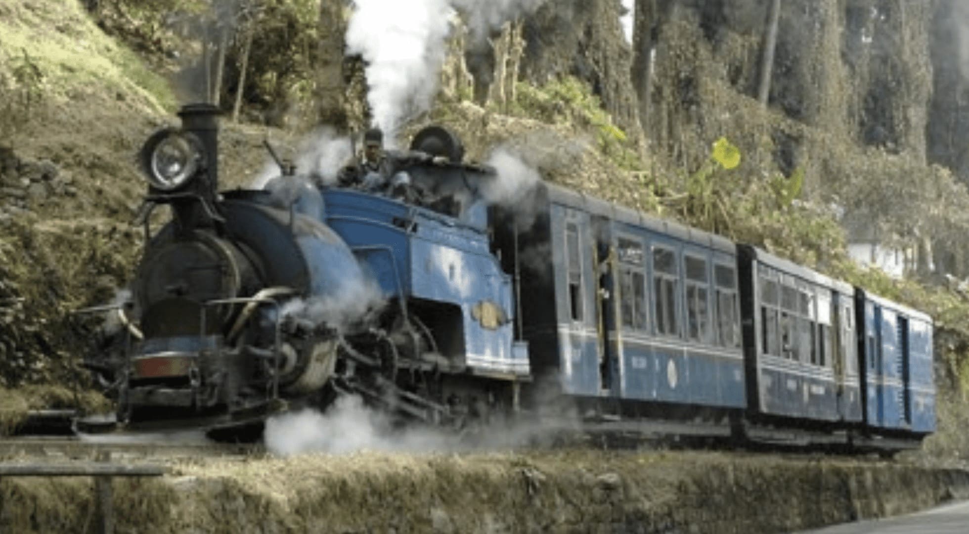 tea trip-toy train ride-darjeeling