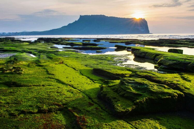 South Korea, Jeju Island, Seongsan Ilchulbong