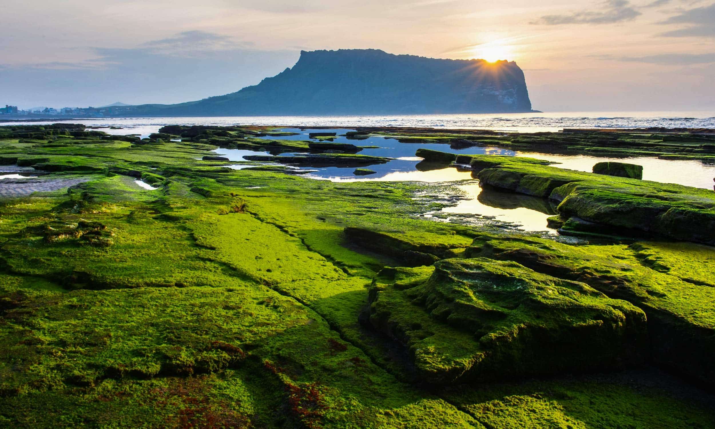 South Korea, Jeju Island, Seongsan Ilchulbong