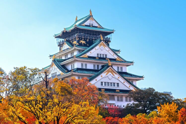 princess cruise- osaka castle