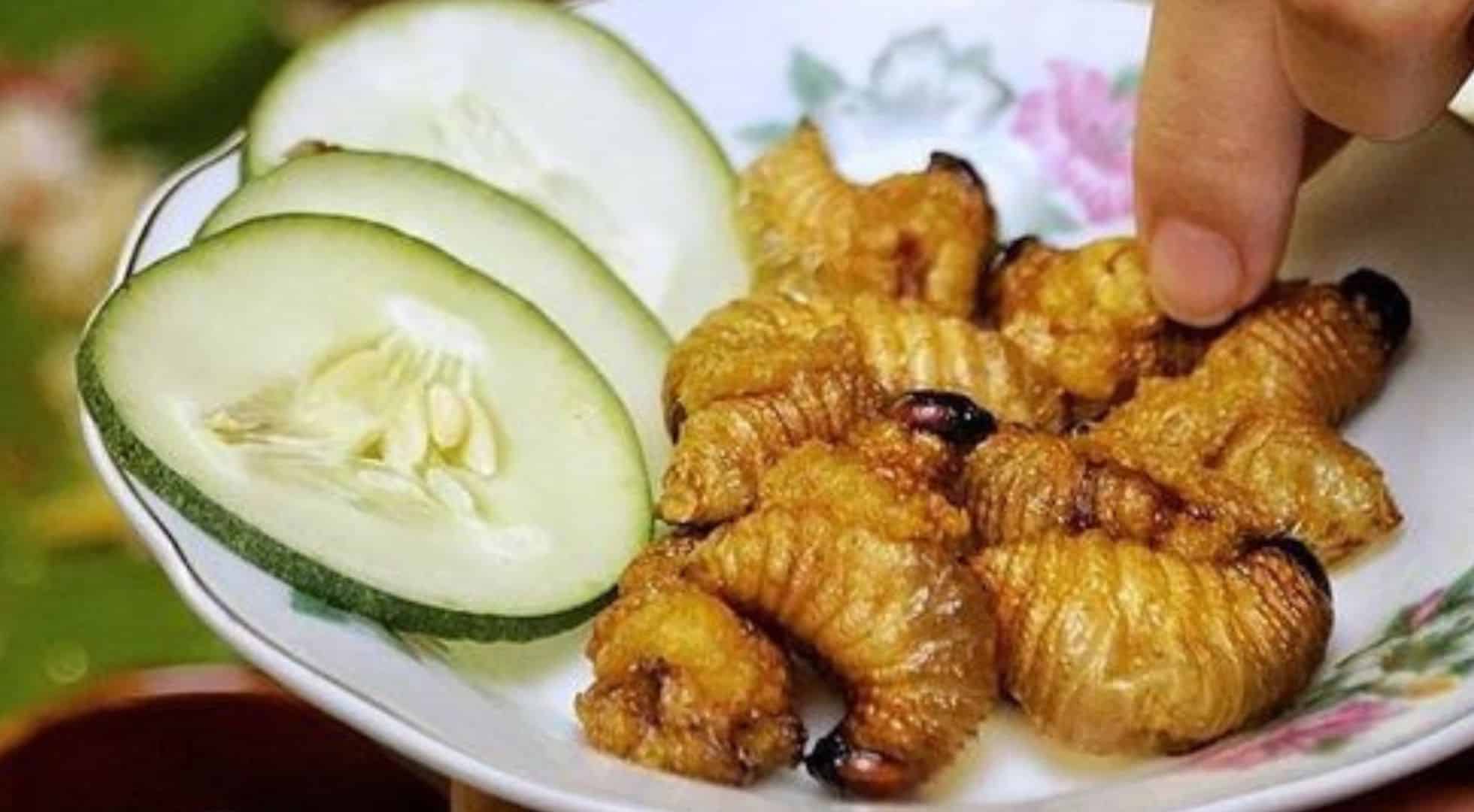 SagoWormsSabah Harvest festivals in Malaysia: Food