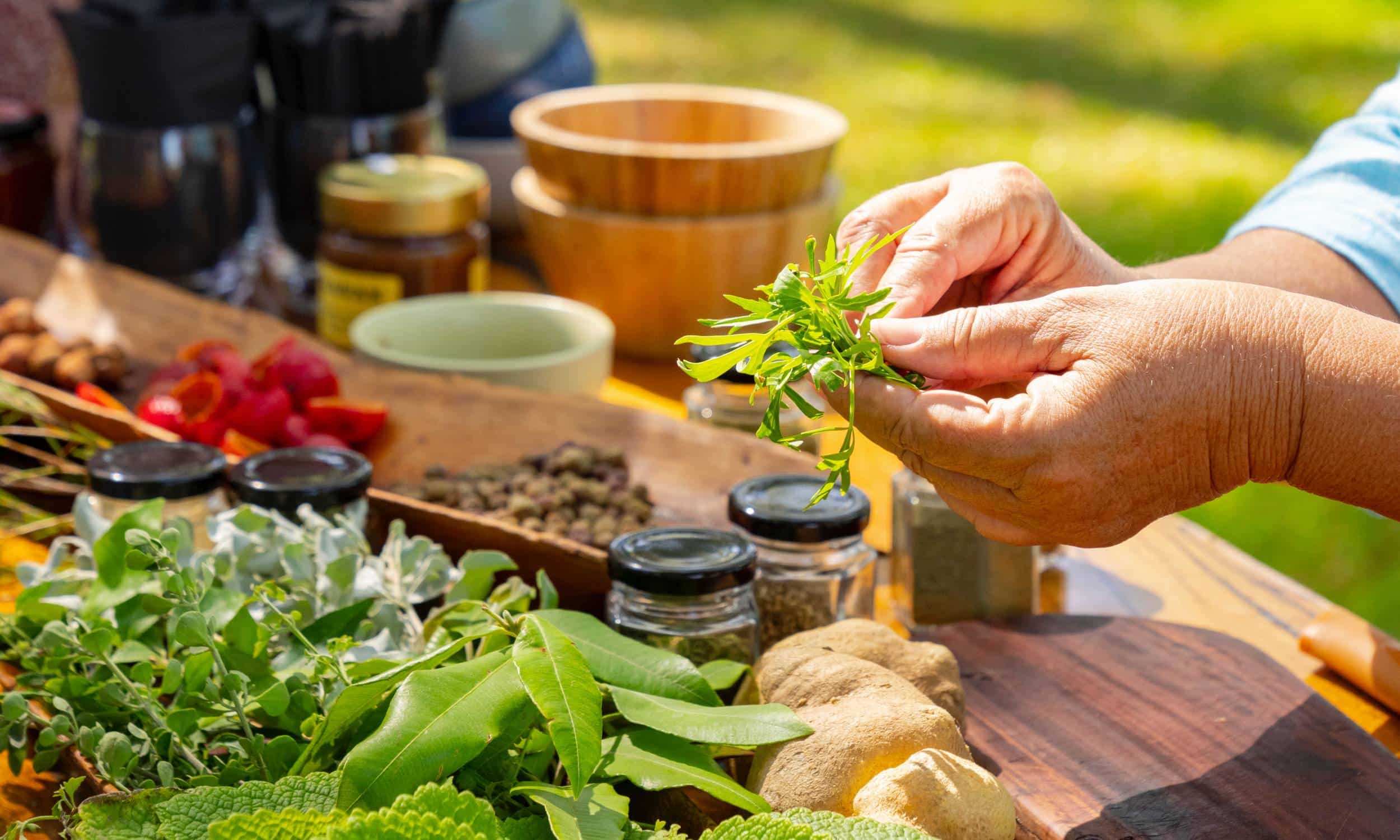 Western Australia Bush Tucker Wellbeing Western Australia Bush Tucker and Wellbeing