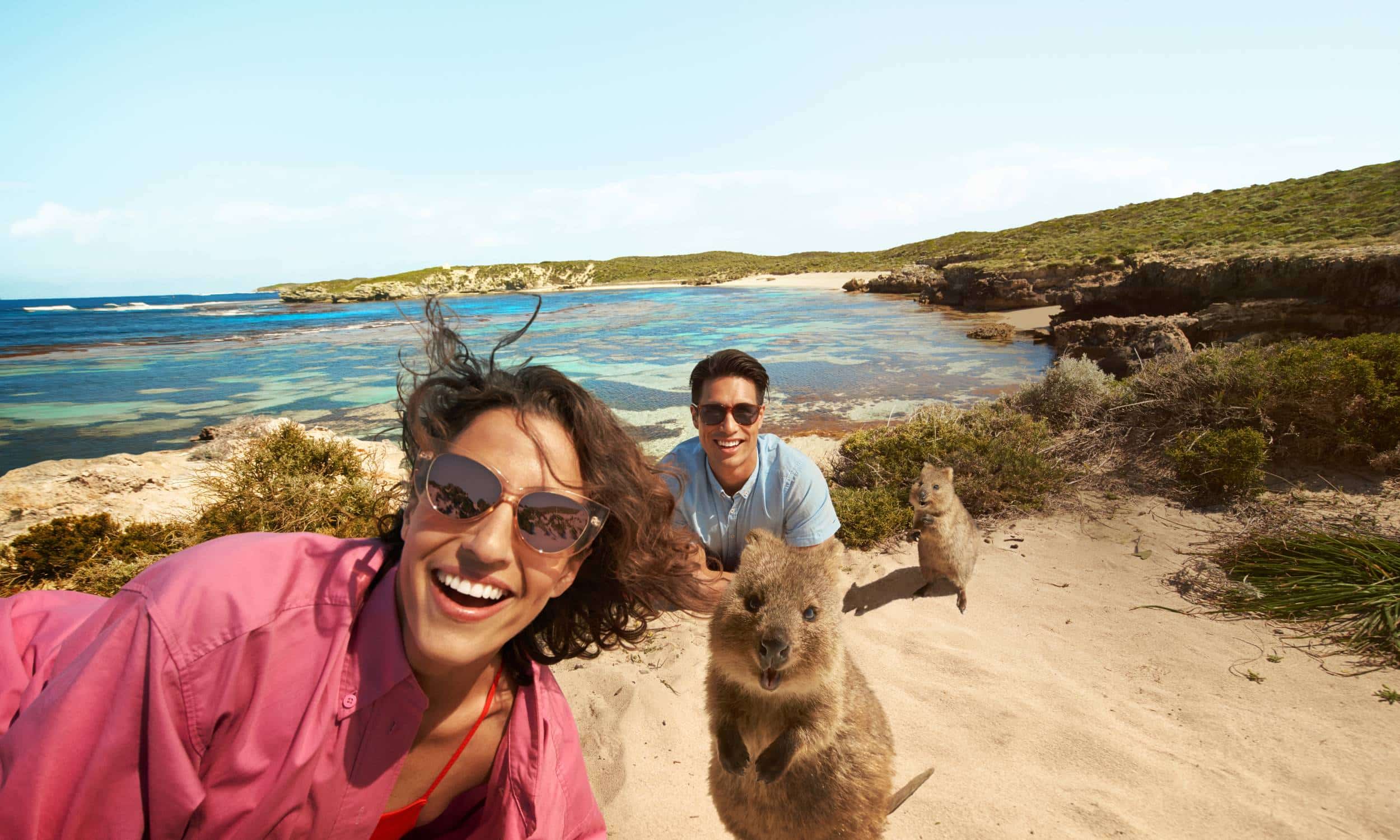 Western Australia Perth Rottnest Island Quokka
