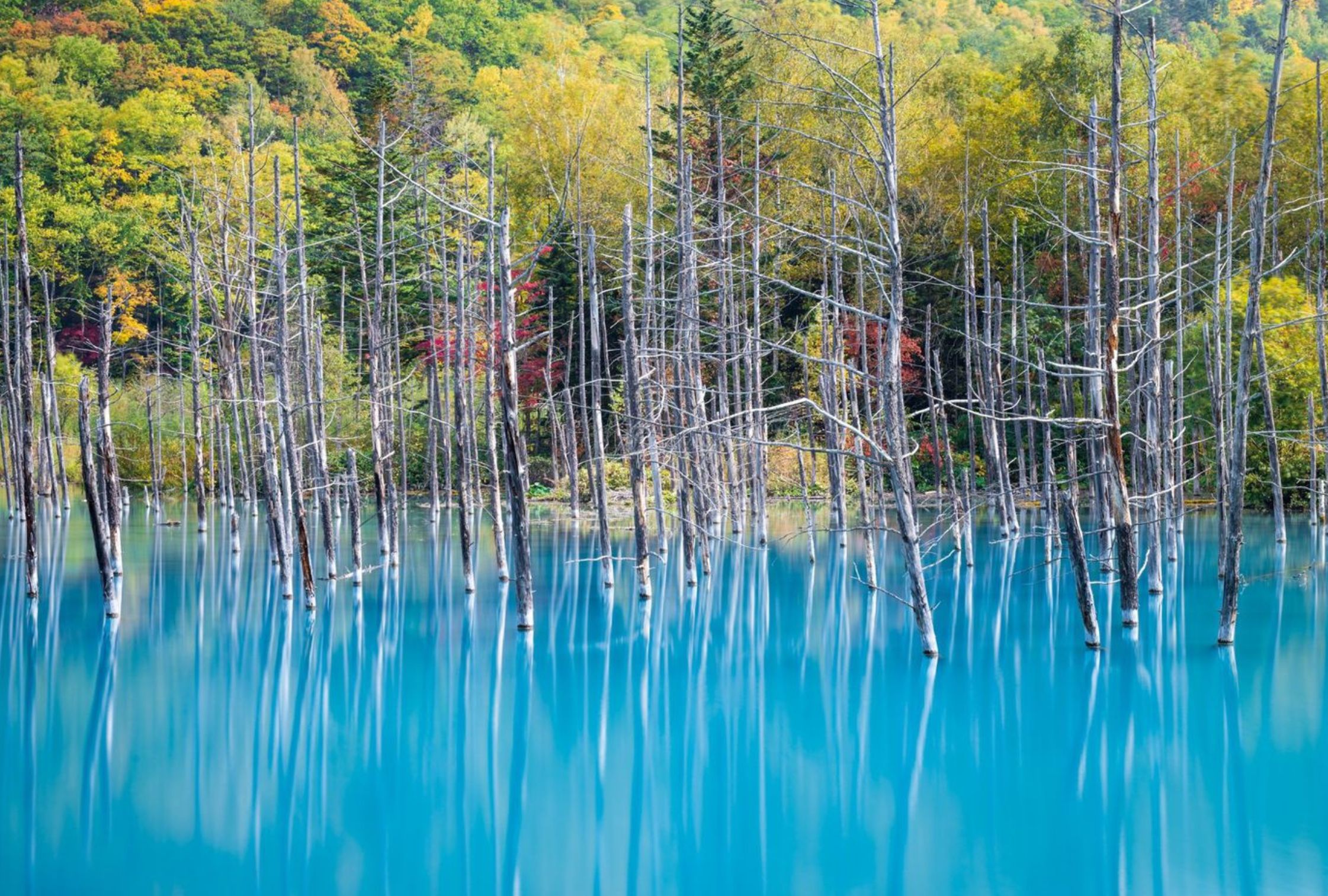 Summer in Japan: Visit Hokkaido