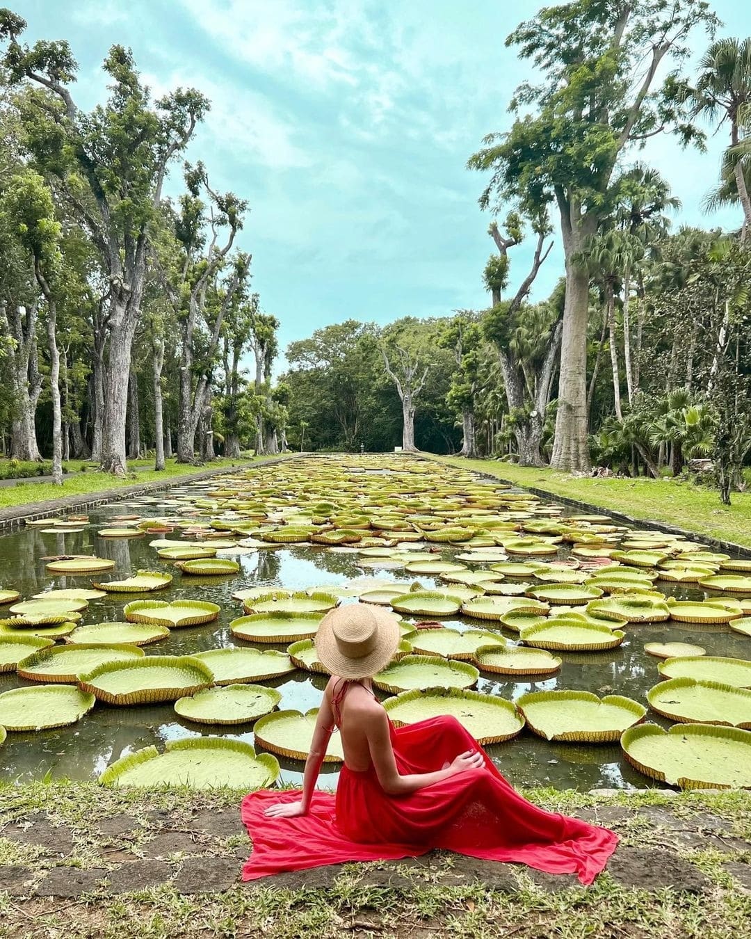 319689056 684876059777852 6988377537016405453 n Muslim honeymoon in Mauritius