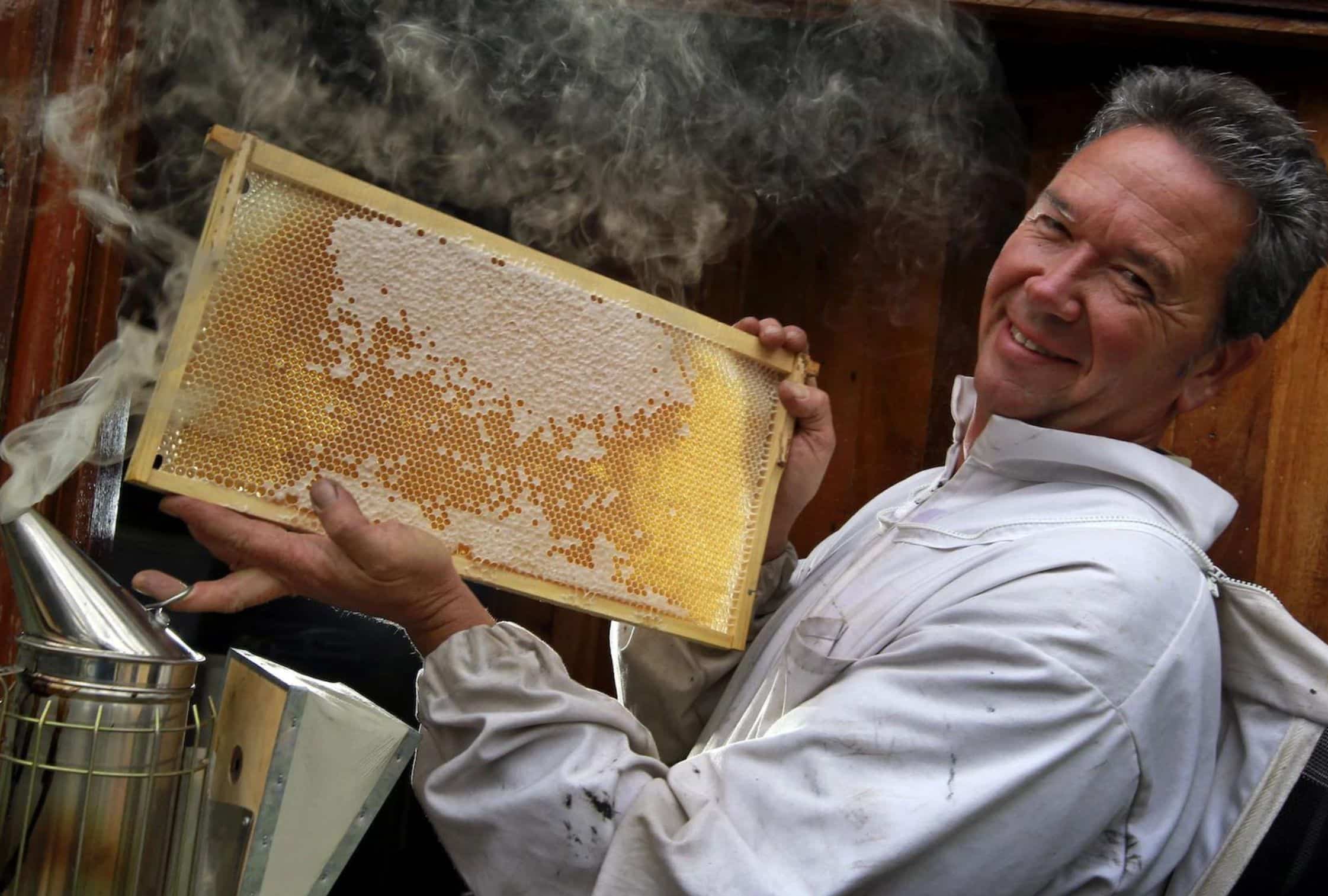 Gastronomic Delights in Western Australia: Honey