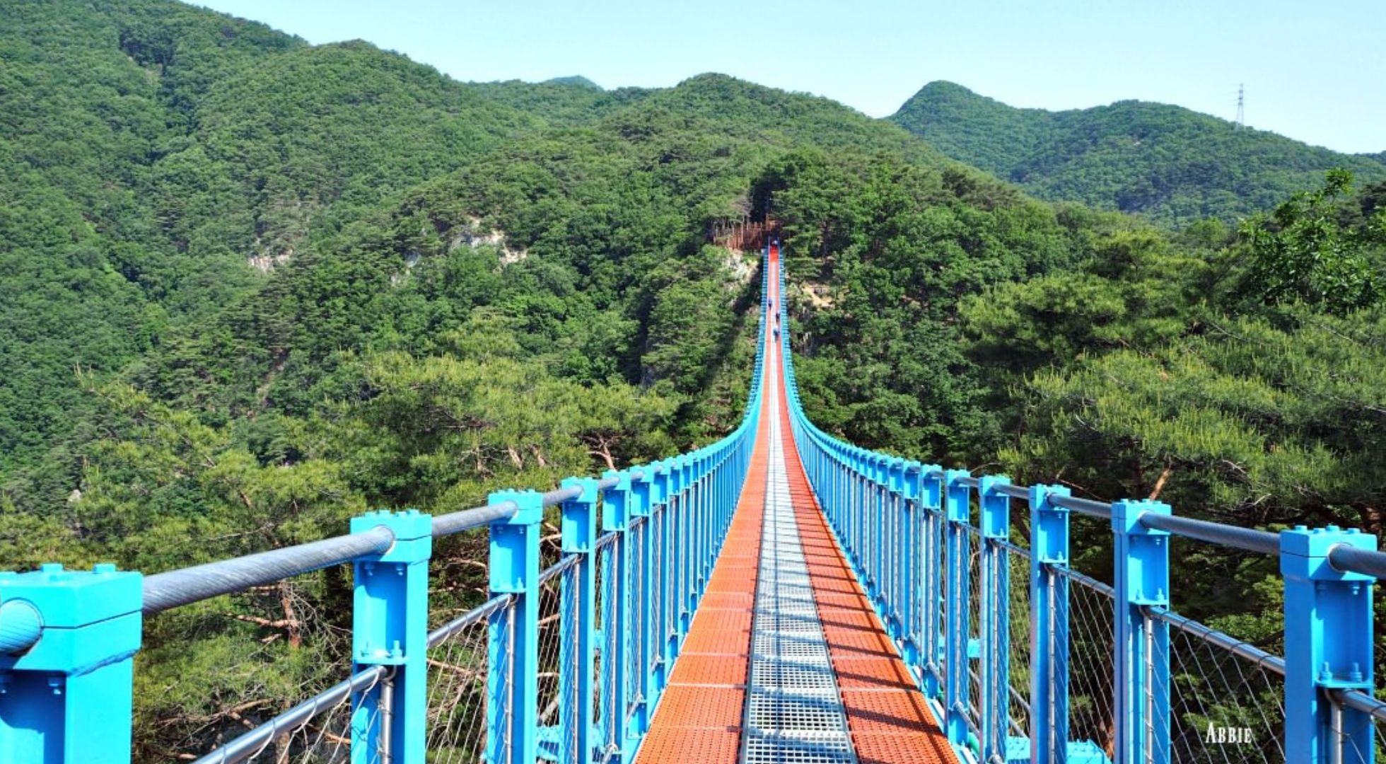 Korea travel guide suspension bridge