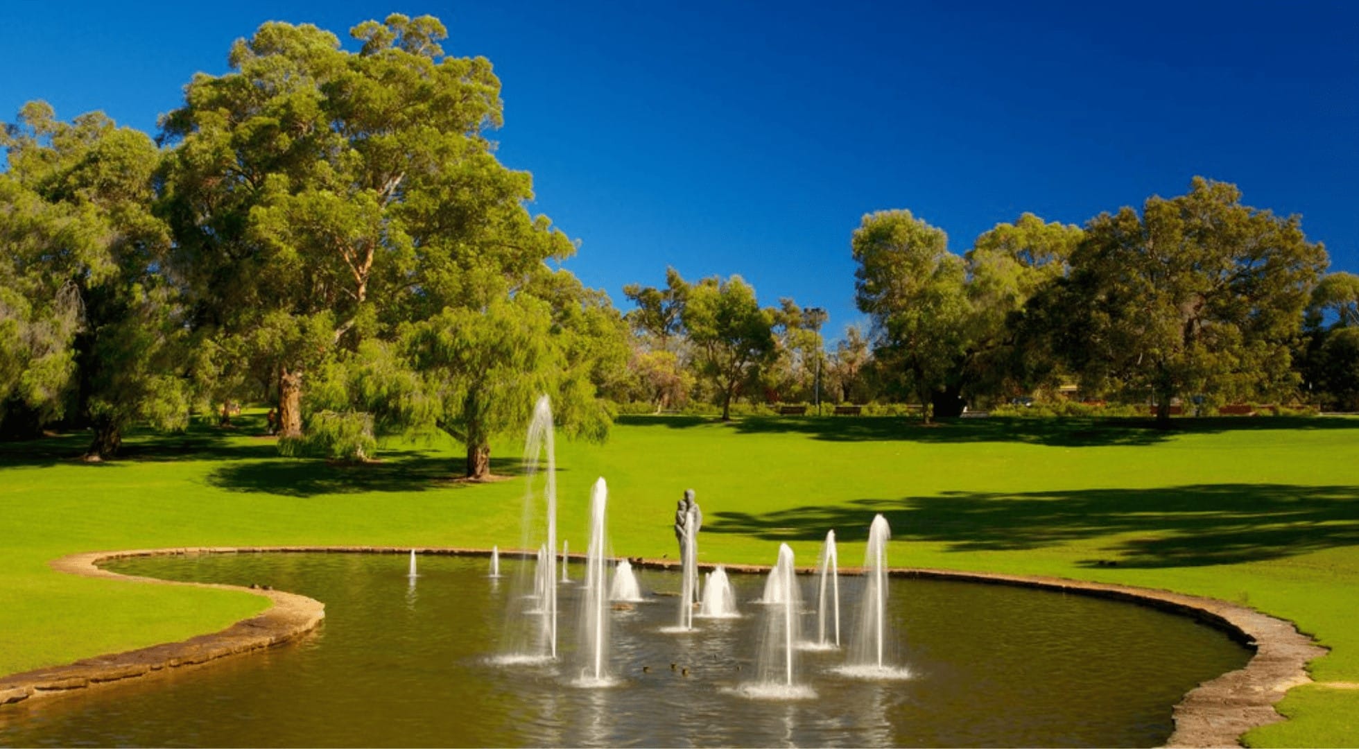 travel to western australia - kings park - perth