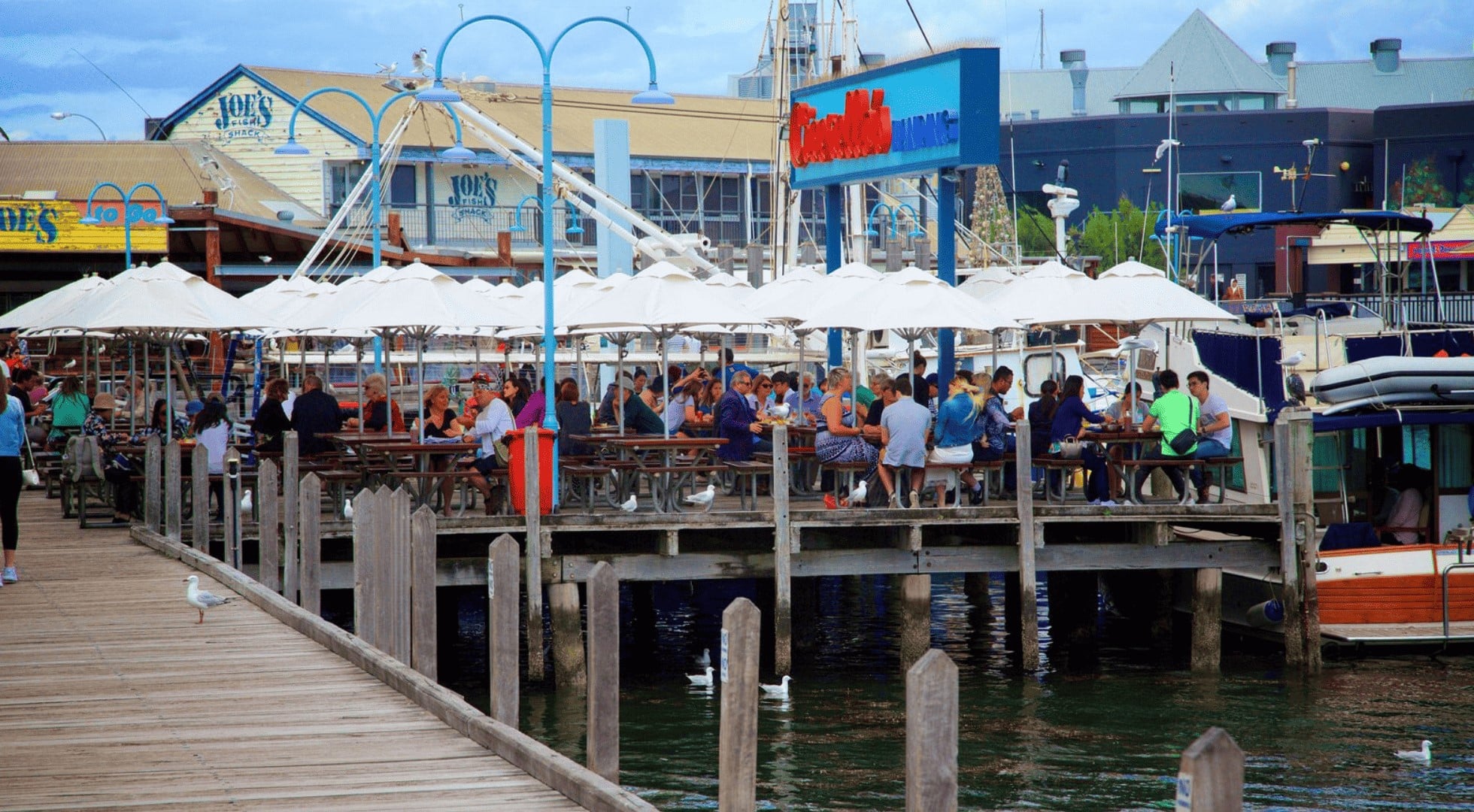 western australia holiday - fishing boat harbour - rottnest island