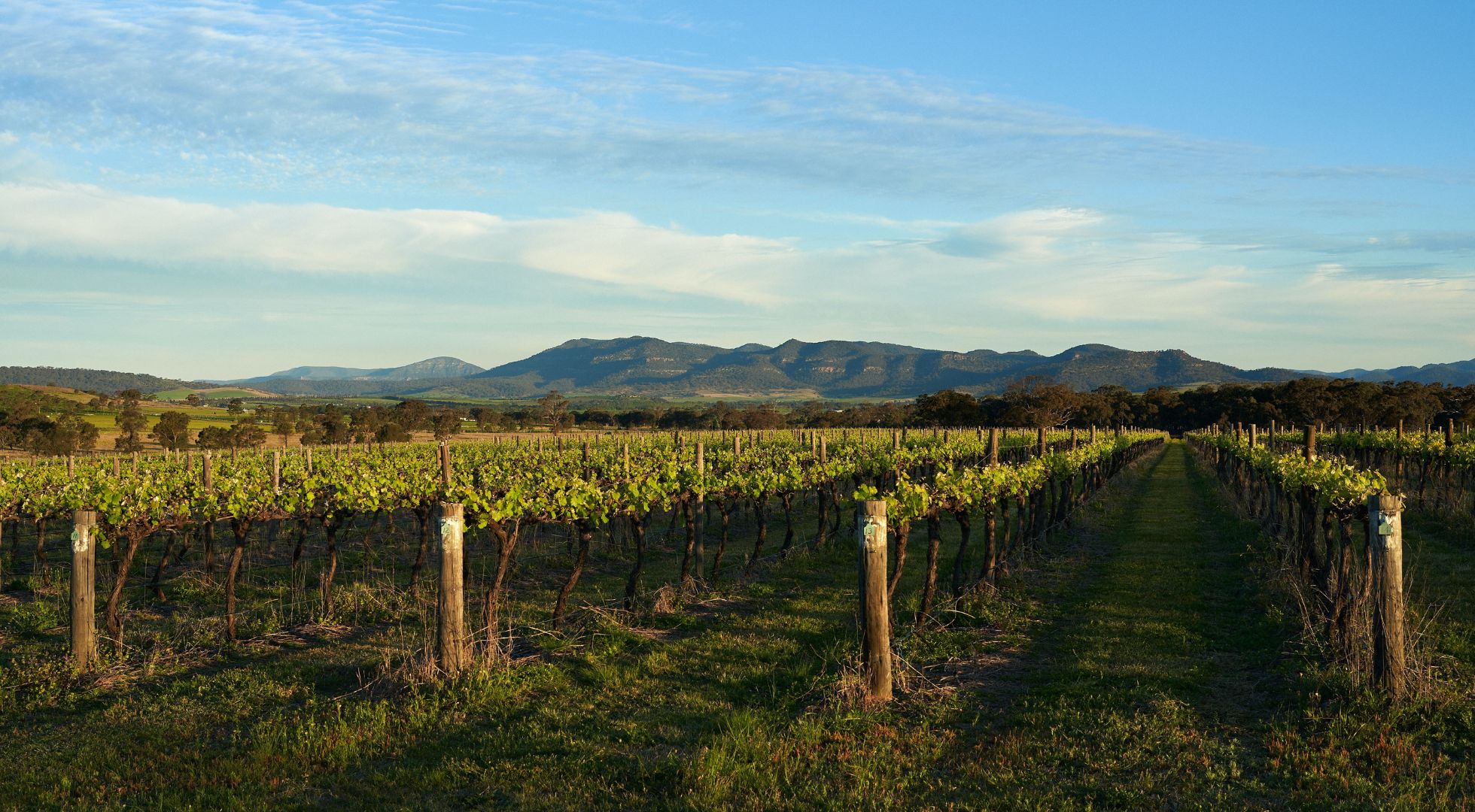Untitled 1960 × 1080px 13 hunter_valley