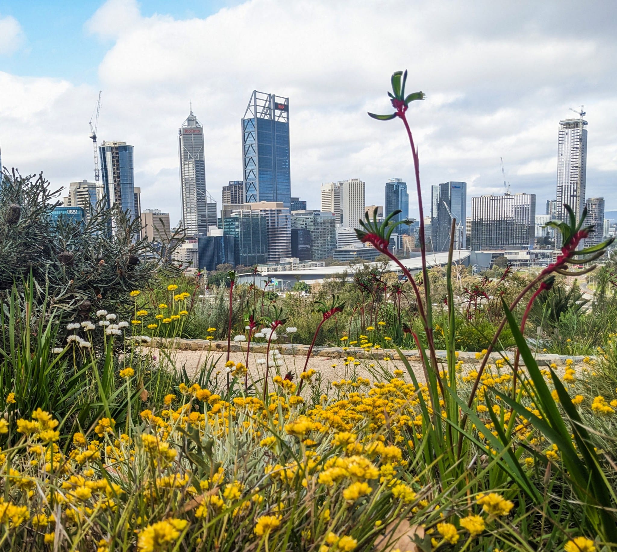 botanic-gardens-perth