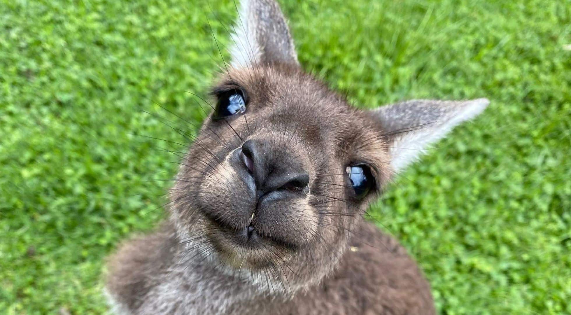 caversham-wildlife-park