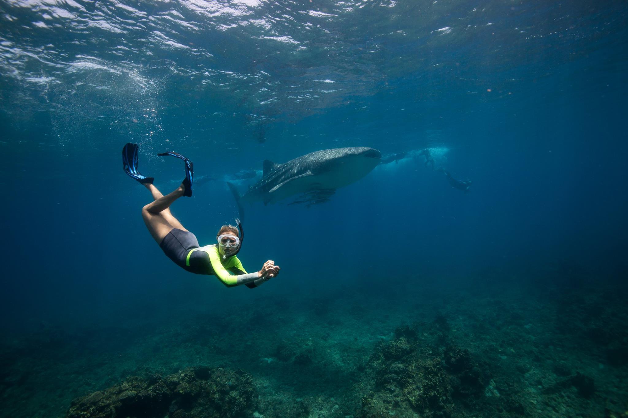 ningaloo-reef