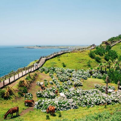 year end holiday destinations