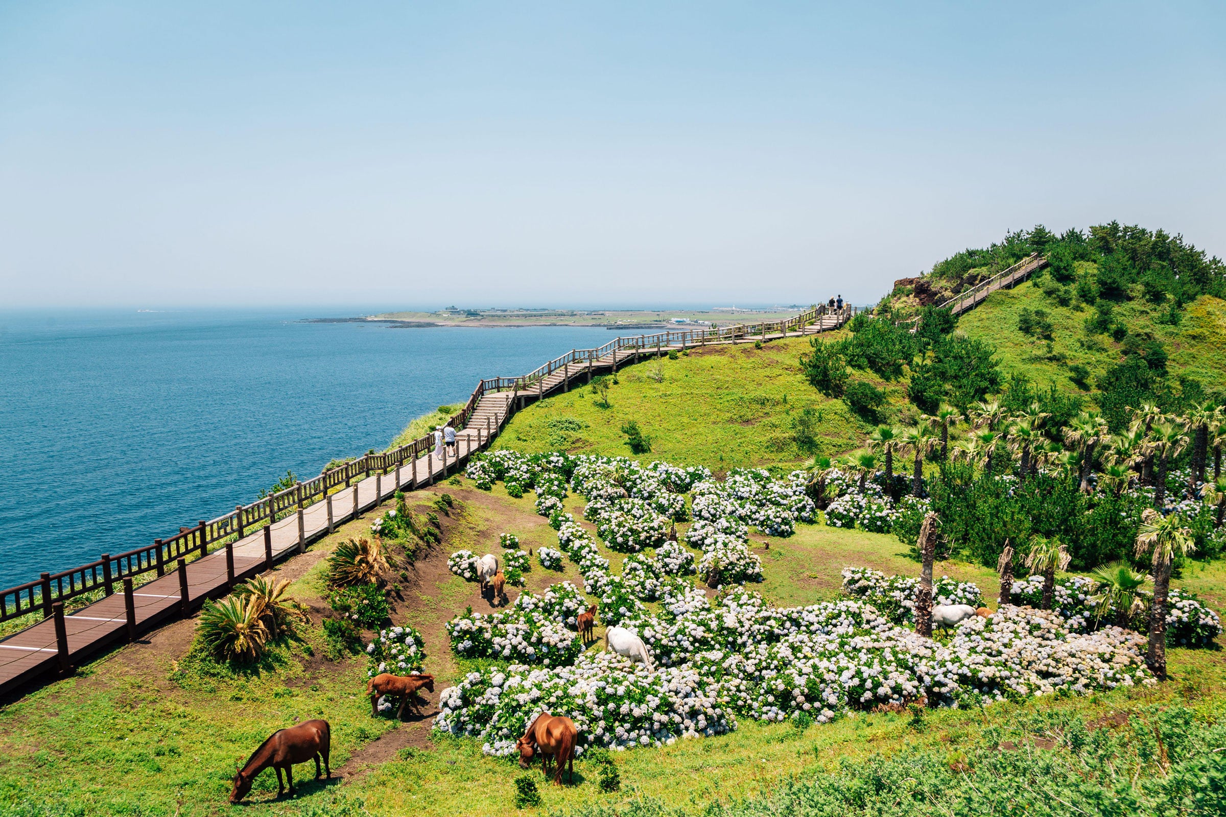 sanga park alamy stock photo jeju-island