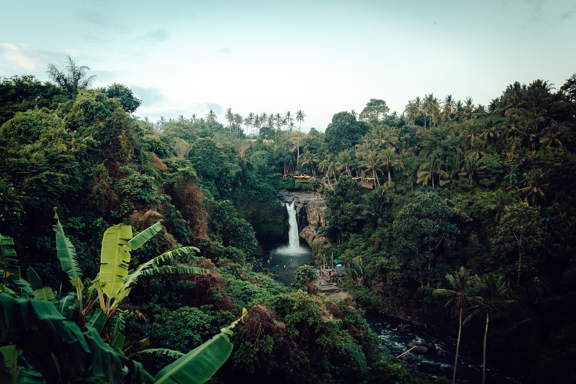 Amazon jungle in Ecuador