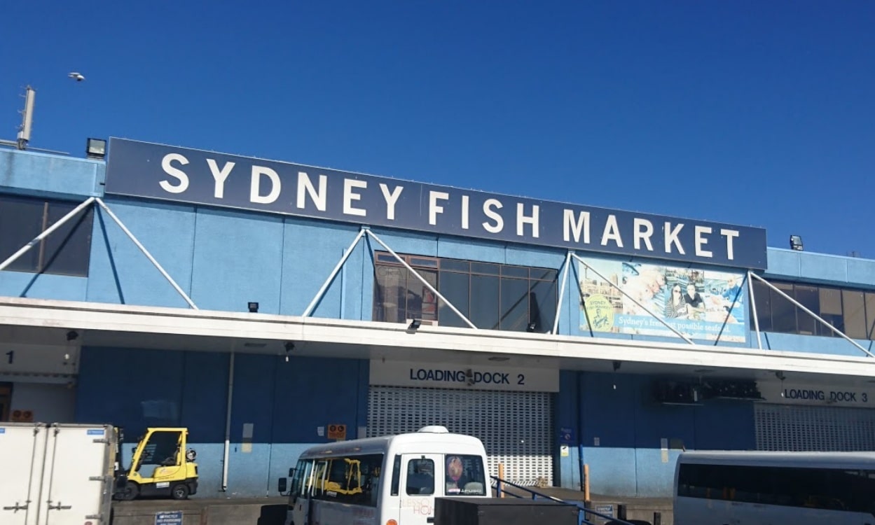 Sydney fish market