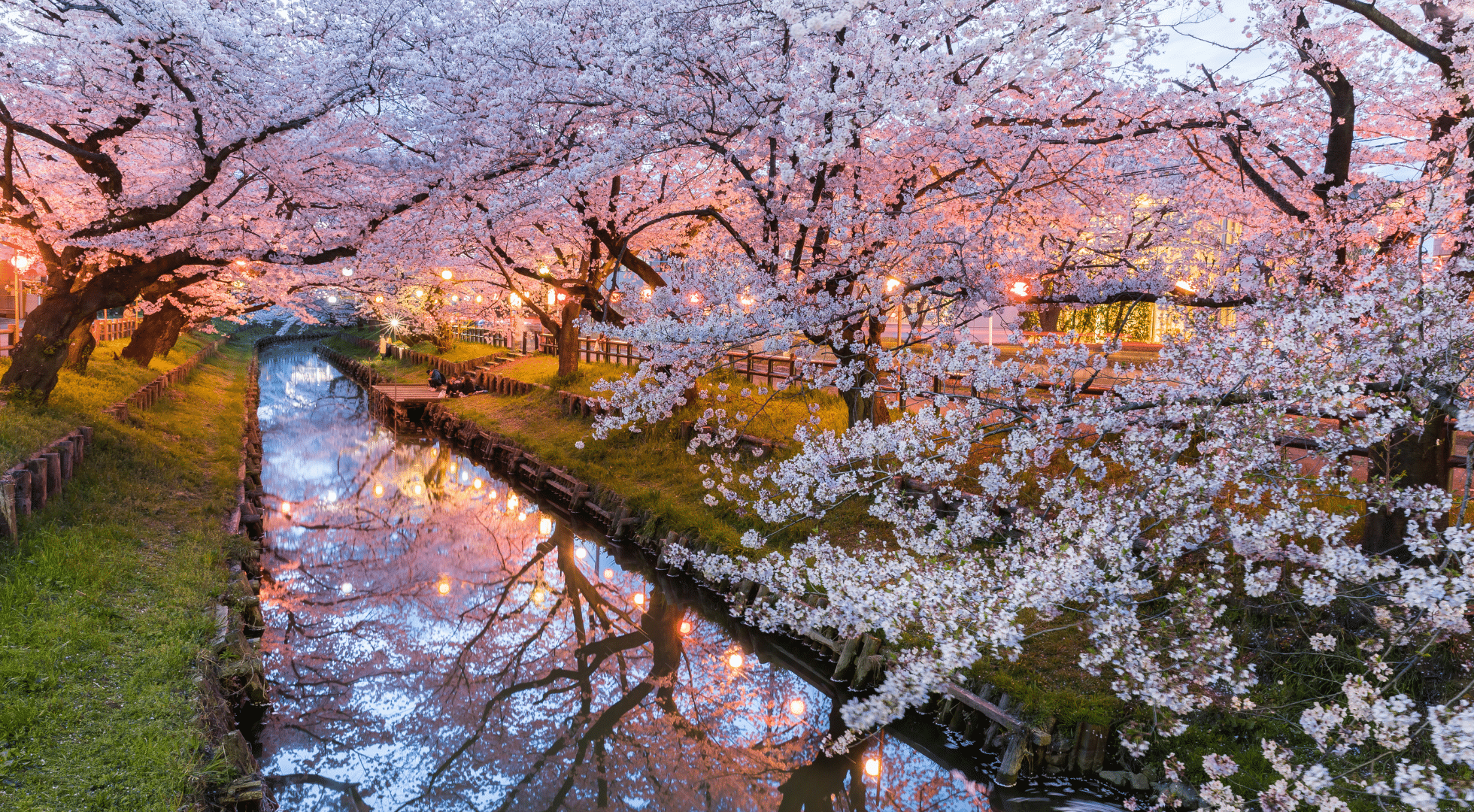 Japan's Spring Festivals