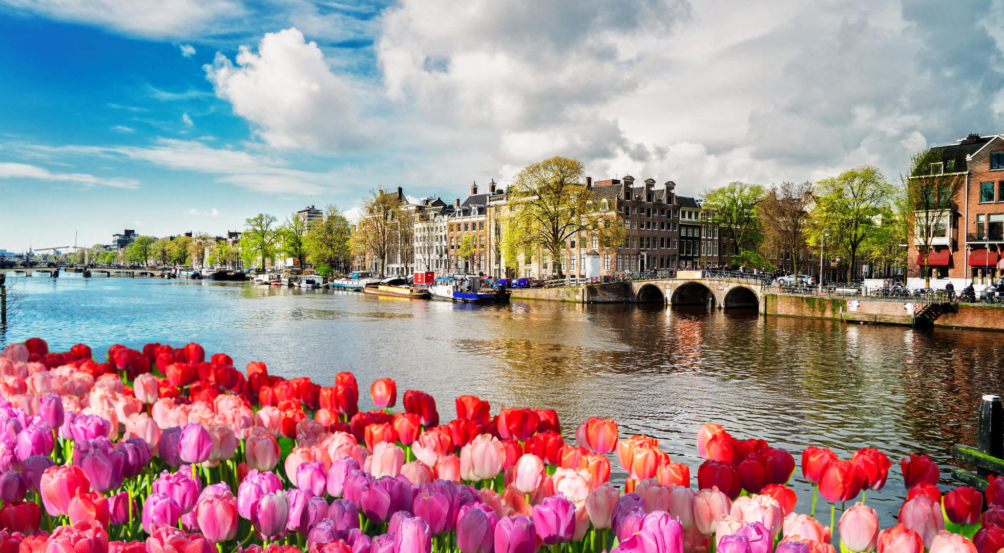 Europe in spring amsterdam