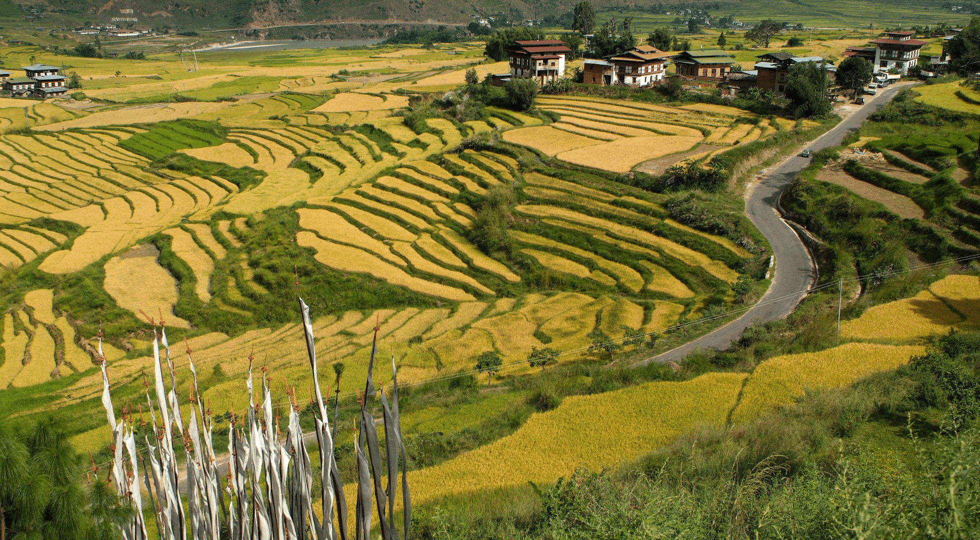 Bhutan 6