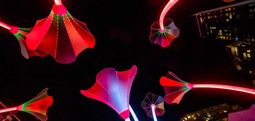 trumpet flowers chatswood