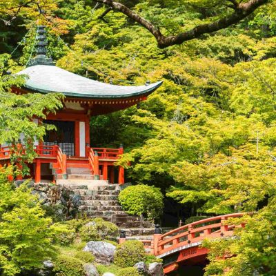 Beautiful Places to Go in Japan That Aren't Tokyo
