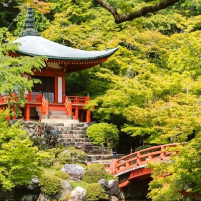 Places to Visit in Japan That Aren't Tokyo