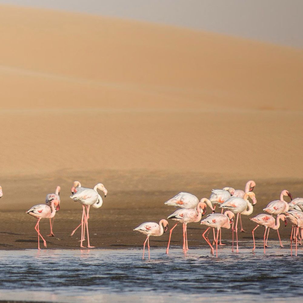 Walvis Bay, Namibia
