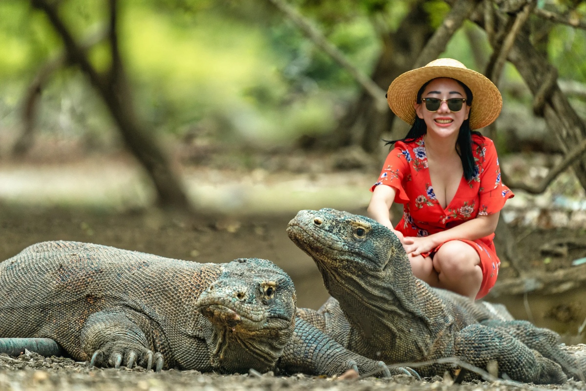 Komodo Island, Komodo National Park