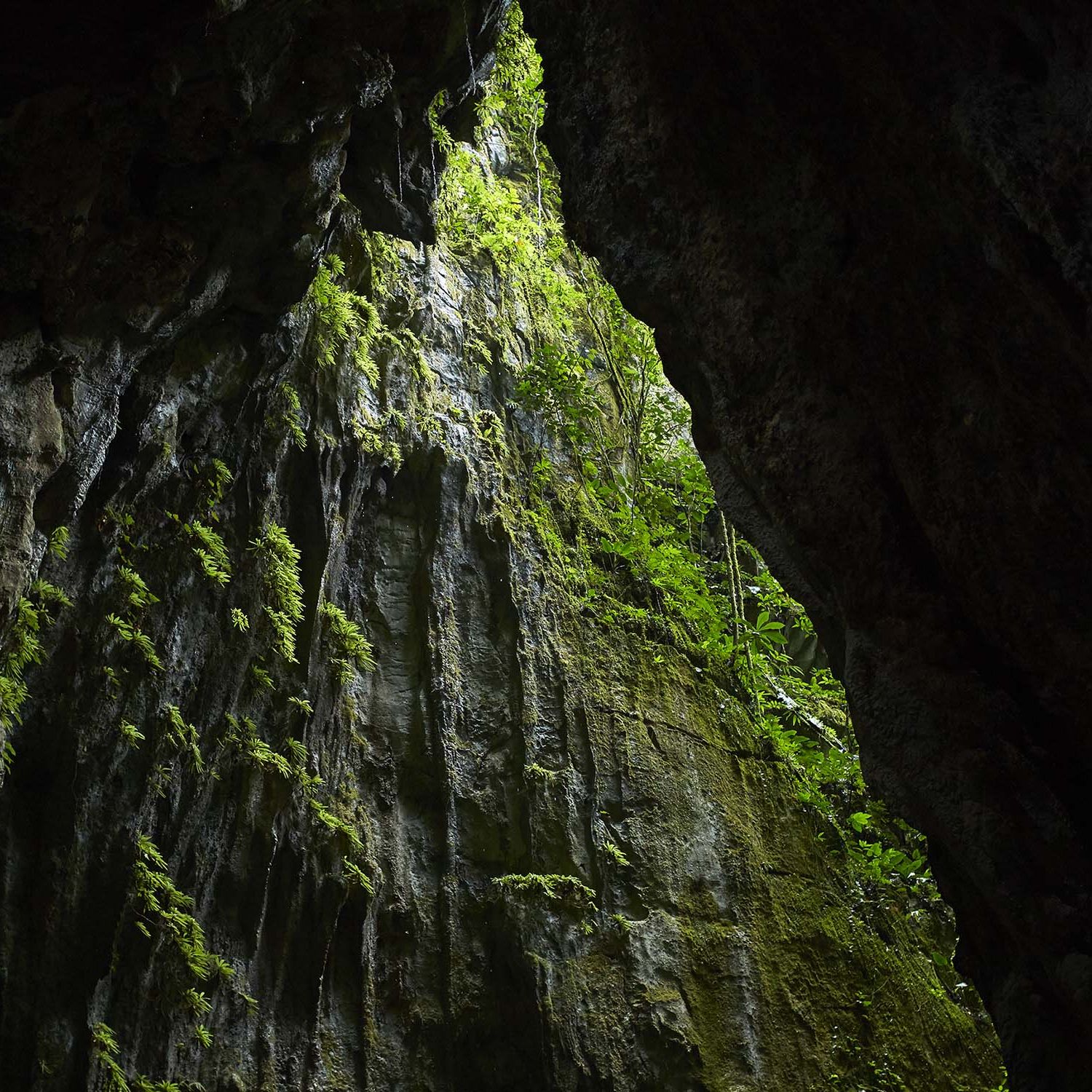 Mulu Marriott - Mulu Park