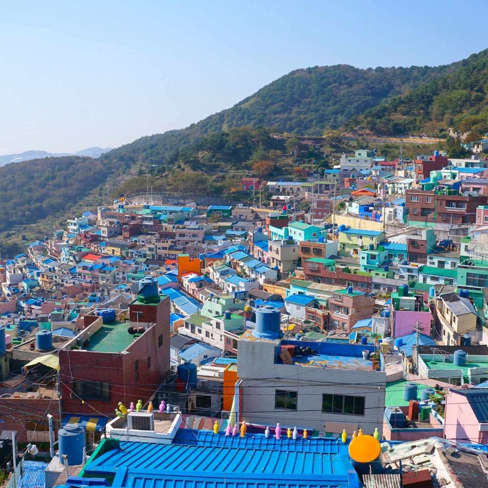 spectrum of the seas -5D4N Busan Cruise
