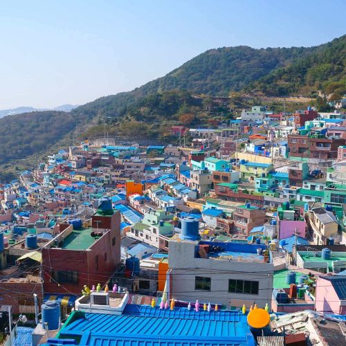 spectrum of the seas -5D4N Busan Cruise