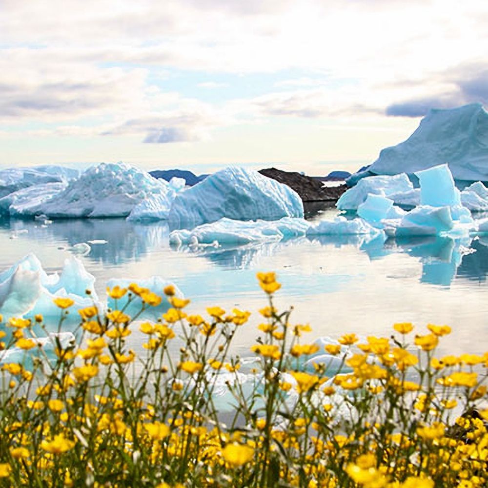Narsaq, Greenland
