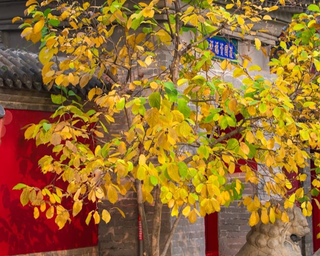 Beijing