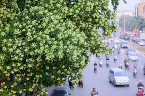 Hanoi
