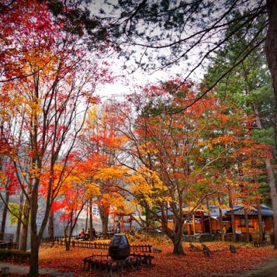 50. Why We Love Travelling in Autumn - 5 Reasons to Travel and Where to Go