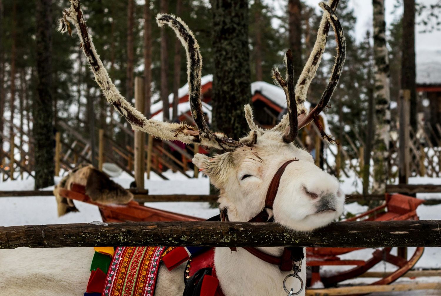 rovaniemi-finland