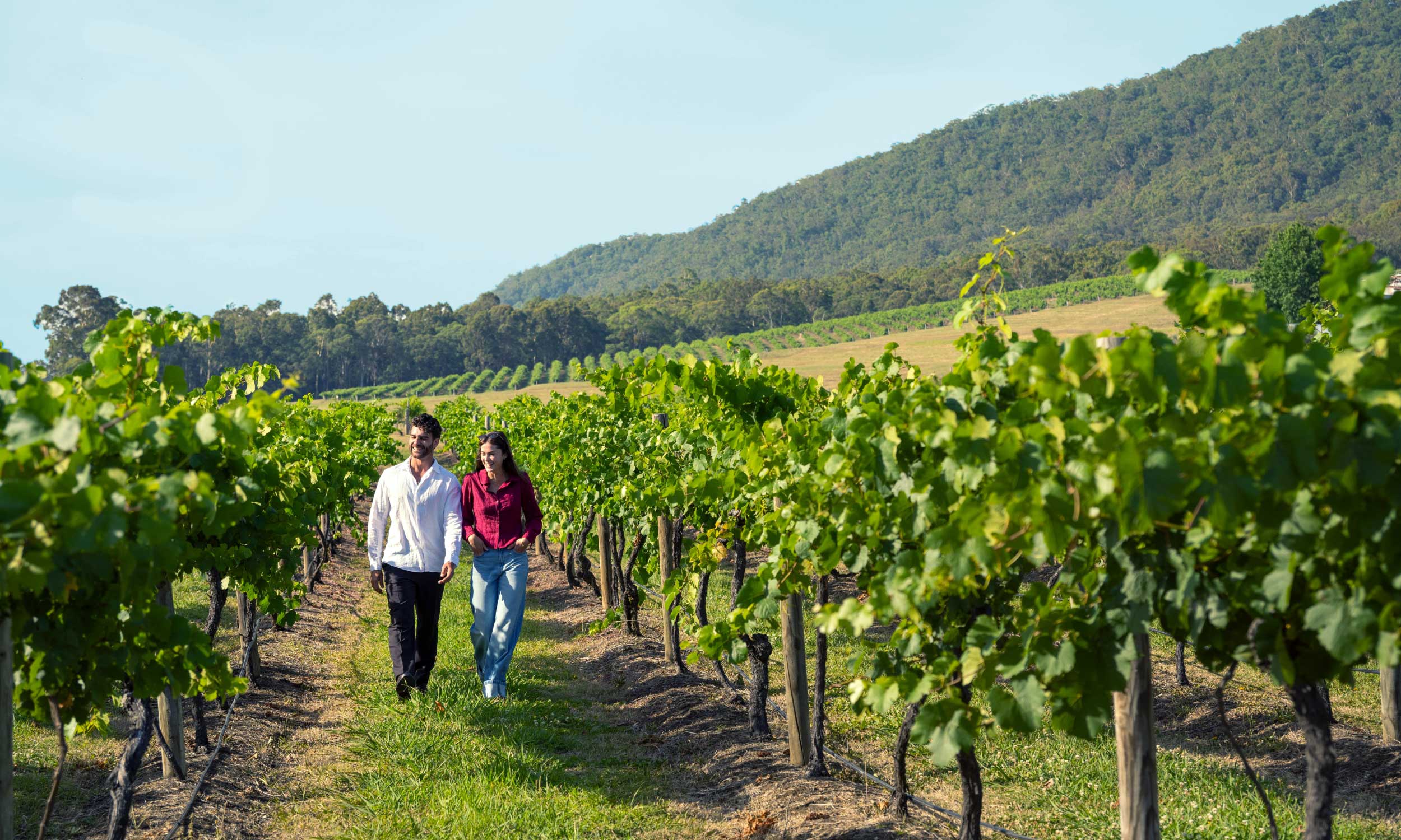 07 hunter valley scenic htt dnsw 4d3n sydney web