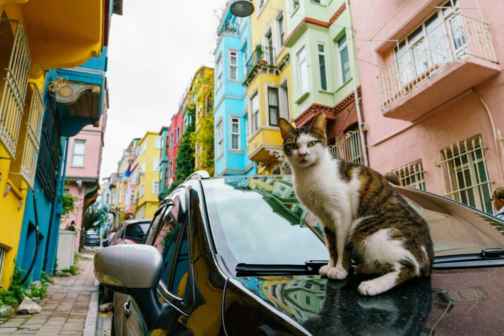 Balat and Fener