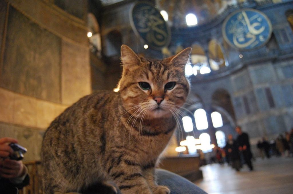 Hagia Sophia
