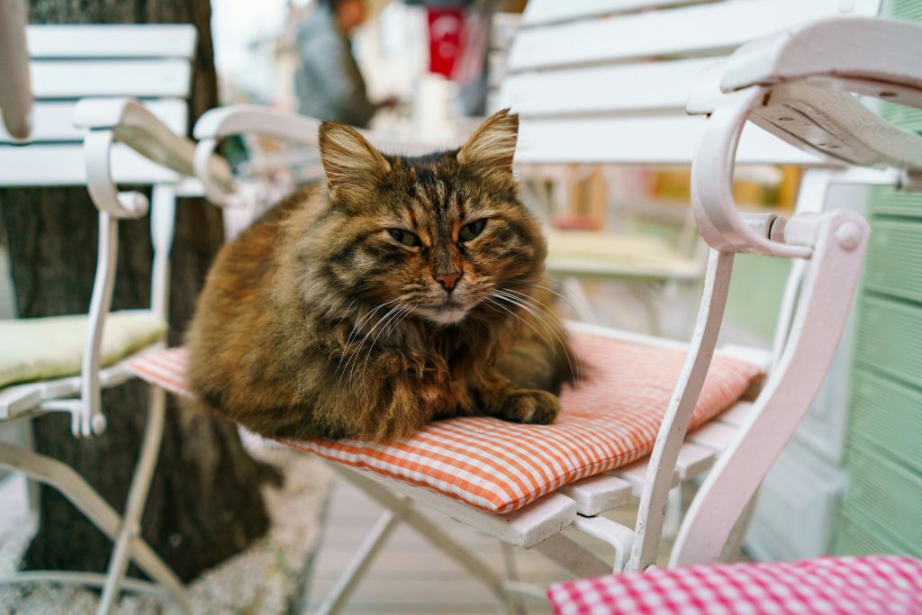 Karakoy