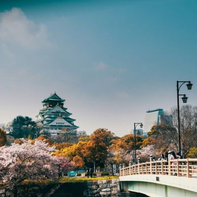 Beyond the Neon: Discovering Osaka’s Coolest Summer Spots