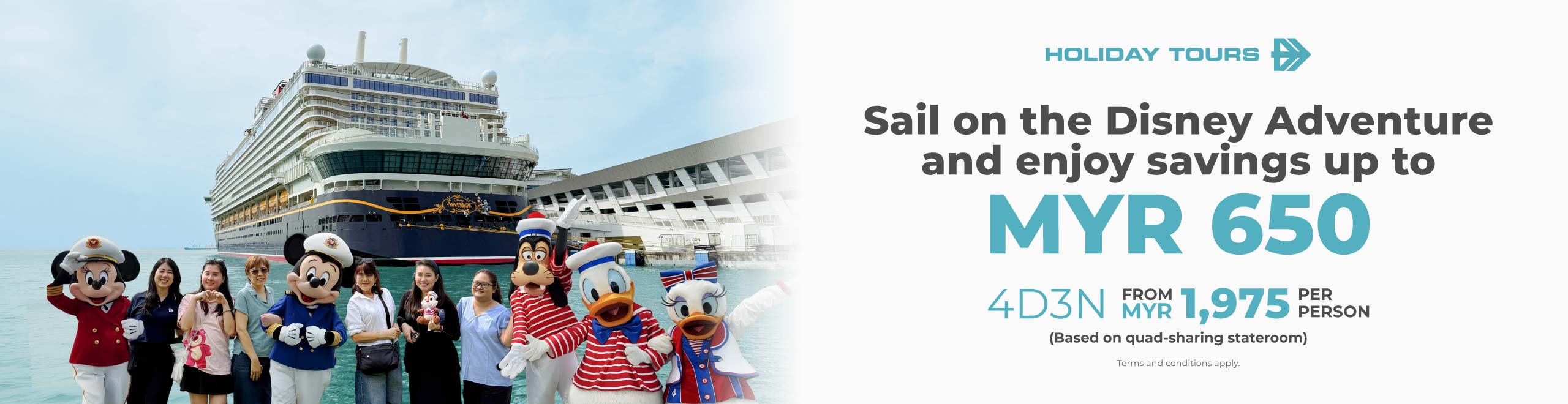 Disney Cruise banner