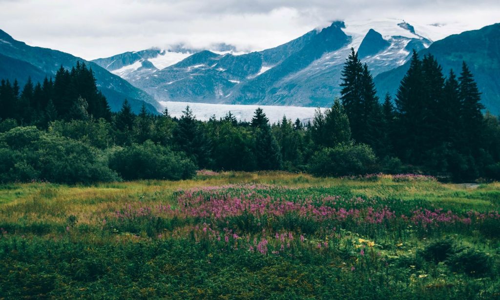 alaska-usa